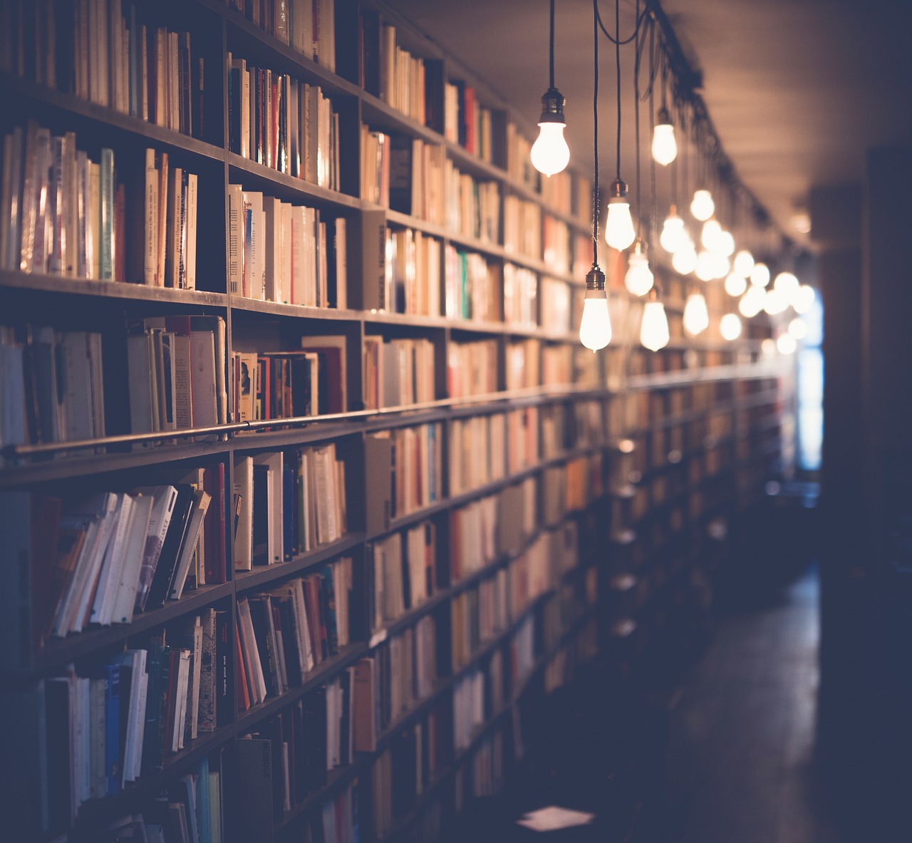 Books, library, room — Tiranga Game Customer Support Review